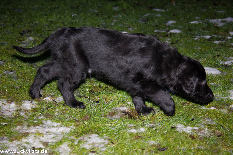 So riecht's also im neuen Garten...