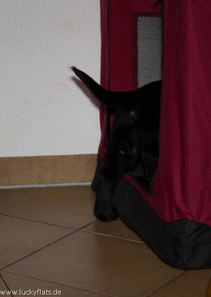 Hey, ein Stoffkennel - ganz allein und nur f�r mich :-)